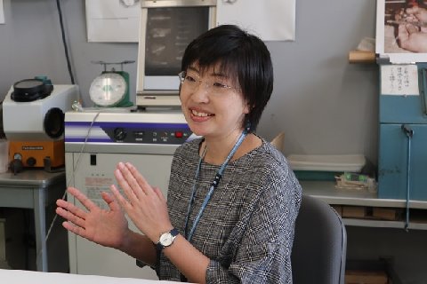 東北歴史博物館 学芸員（保存科学）